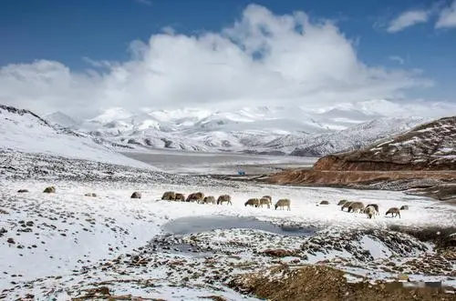 雪域高原徒步之旅